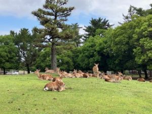 ウォーキング