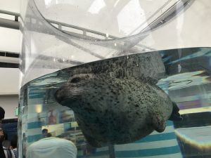 京都水族館